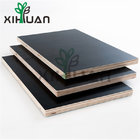 Constraction Material Shuttering Film Faced Plywood 18mm Black Film Faced Plywood Lumber Wood