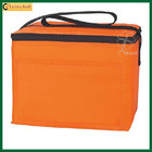 2017 New Style Insulated Cooler Bags 6 Can Cooler Pack