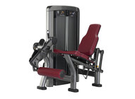 gym equipment  Leg Extension XH905