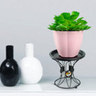 Small black metal flower stand, single floor, Floor racks, single shelf floral pot, MINI desk flower stand