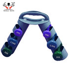 High Quality Total of 6pcs Display Dumbbell Set With Foldable Rack