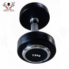 High Quality Weight Lifting Fixed Gym Dumbbell