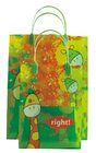 wholesale cartoon handle pp plastic shopping bag, plastic bag with handle, plastic gift bag