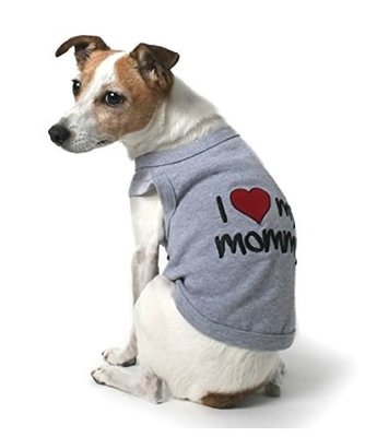 grey Pet Puppy Summer Shirt Pet Clothes T Shirt wholesale pet supplies
