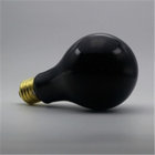 Reptile Neodymium Daylight Bulb A23 150W
