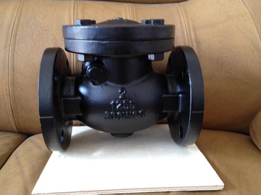 China ANSI swing check valve flanged ends supplier