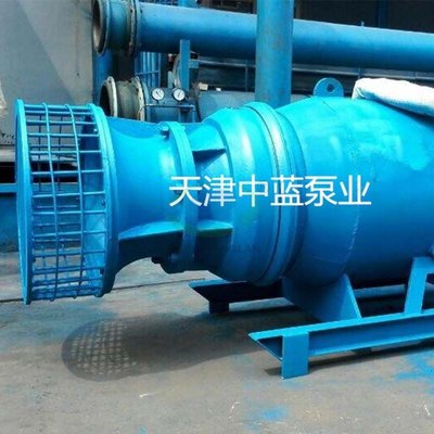 China Sleigh Axial-flow Pump supplier