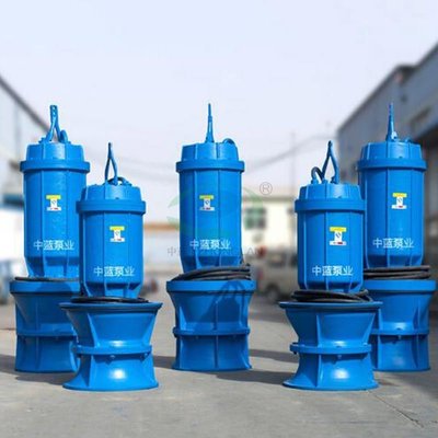 China Pitshaft Axial- flow Pump supplier