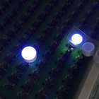 Special round and square led diode with bi-color,white color and OEM/ODM design led mould display