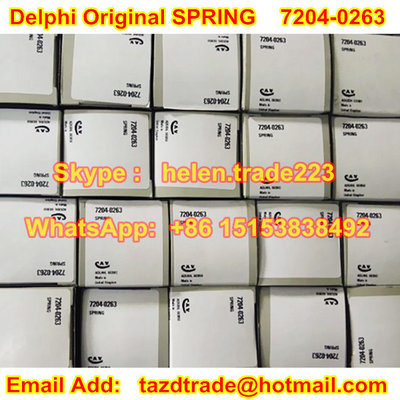 China DELPHI Original and New SPRING 7204-0263 Overhaul Kit , REPAIR KIT supplier