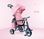 EVA Foam Tire Toddler Push Tricycle , Multi Color Tricycle Bike For Toddler supplier