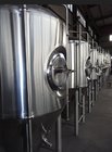 12,000 L beer brewing equipments, brew tun, lauter tun, fermenters for medium brewery