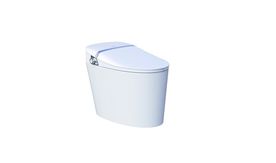 China 2019 faenza ceramic smart toilet F19 supplier