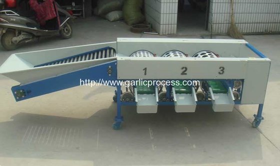 Automatic Garlic Grader Machine for Sale supplier