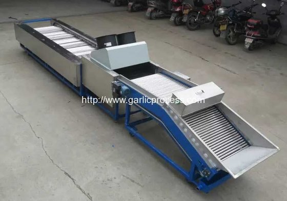 Automatic Garlic Sorting Machine with Brusher Cleaning Function supplier