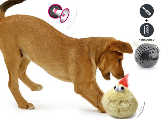 Motorized dog toy sale