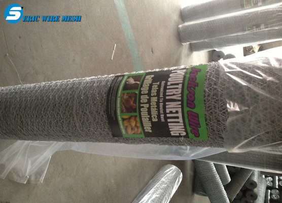 China eric unique high standard plant protect hexagonal wire mesh supplier