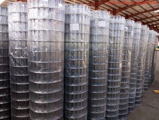 China Hot Dipped Galvanized Welded Wire Mesh 50×100mm for Fencing With Stong rust resistance supplier