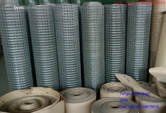 China Hot Dipped Galvanized Welded Wire Mesh 1'x1', 1/2'x1/2', 50x50mm,60x60mm for Fence supplier