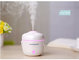 Professional Electric Cooker Portable Air Humidifier for Car and Home Oil Aroma Diffuser GK-WX001 supplier
