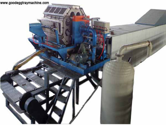 apple fruit tray processing machinery