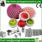Fruit or vegetables packaging Net extrusion line(FC-70)
