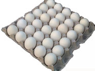 High quality egg/cake tray making production line