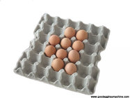 700-900 pcs/h Paper Egg Tray Making Machienry (FC-ZMW-3)