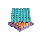 Recycled waste paper egg tray machine
