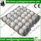 Egg Tray Making Machine (FC-ZMG3-24)