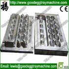 Strong life egg tray mold manufacturer