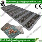 Plastic egg tray mold