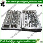 The latest technics for egg tray mould