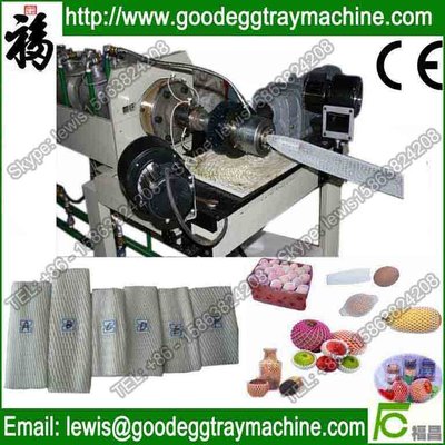 Fruit or vegetables packaging Net Production Line