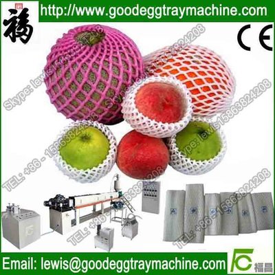 Fruit or vegetables packaging Net extruder(FC-70)