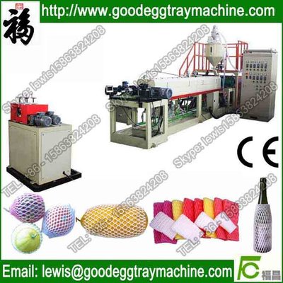 Fruit or vegetables packaging Net extruder