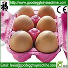 30 holes paper pulp injection egg tray