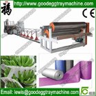 HOT! Polyethylene Foam Sheet Making Machine(FCFPM-150)