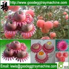 PE/EPE/Plastic flower petal product for apple/ pear/peach/orange/tomatoes