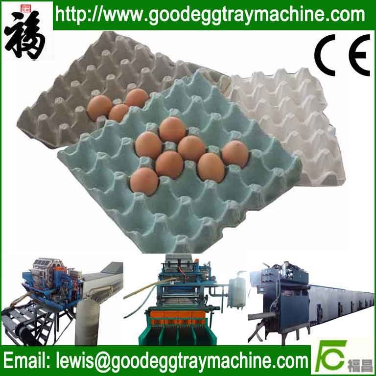 Egg Tray Equipment