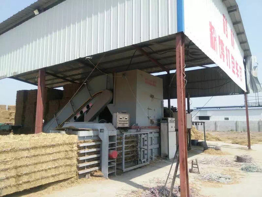 China 5~6t/h Semi-automatic Horizontal Straw Baler with Conveyor and water cooling system from HFBALER supplier
