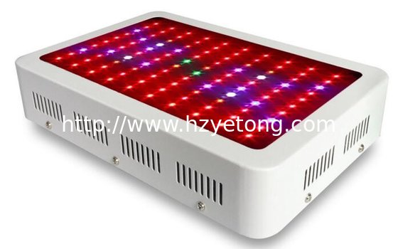 Plant Grow Light