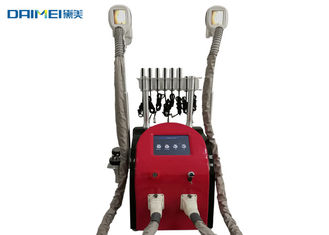 Multifunctional Cryolipolysis Slimming Machine / Belly Fat Removal Machine supplier