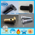 Bolt with hole, Bolt with Hole in Head ,Hex head bolts with holes,Hex bolts with holes,Zinc plated hex bolt grade 8.8 10