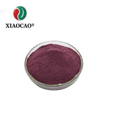 China 100% natural Elderberry extract purple powder for immunity enhancing supplier
