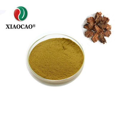 China 100% natural Dryopteris crassirhizoma extract brown powder ISO factory supplier