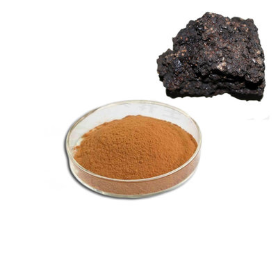 China 100% natural best shilajit fulvic acid powder from pure shilajit extract from ISO factory supplier