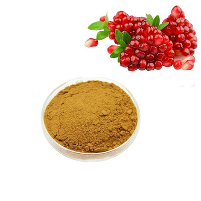 China ISO factory 100% pure Natural pomegranate peel powder pomegranate seed extract powder from China supplier