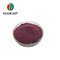 100% natural Elderberry extract purple powder for immunity enhancing supplier