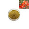 ISO factory 100% natural powder capsule butea superba extract powder free sample fast delivery supplier